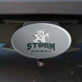 Lake Erie College Primary Logo Oval Tow Hitch Cover Trailer Plug Insert 2