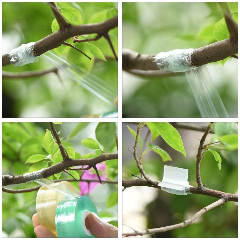 Grafting Tape Pe Stretchable Self-adhesive Film 20 25 30mmx100m For Garden Plants Trees Green 1 Set