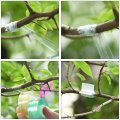 Grafting Tape Pe Stretchable Self-adhesive Film 20 25 30mmx100m For Garden Plants Trees Green 1 Set