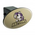 Albion College Secondary Logo Oval Tow Hitch Cover Trailer Plug Insert 2