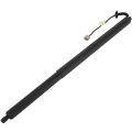 Powered Electric Lift Supports Gas Springs Struts Shocks Cj54s402a55ad Fit For Ford Escape 2013-2019 