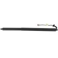 Powered Electric Lift Supports Gas Springs Struts Shocks Cj54s402a55ad Fit For Ford Escape 2013-2019