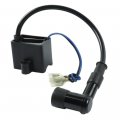Flypig High Performance Cdi Ignition Coil Magneto For 50cc 60cc 66cc 80cc Engine Motorized Bicycle 2-stroke