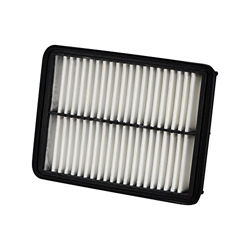 Ecogard Xa10600 Premium Engine Air Filter Fits Scion Ia