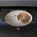 Red Smooth Dachshund Wiener Dog Breed Oval Tow Trailer Hitch Cover Plug Insert