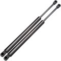 Hood And Hatchback 6103 6303 Pm1008 Sg314046 Sg414051 Lift Supports Struts Fit For Dodge Magnum 2005-2008