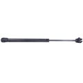 Hood And Hatchback 6103 6303 Pm1008 Sg314046 Sg414051 Lift Supports Struts Fit For Dodge Magnum 2005-2008