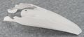 Rear Fender White 