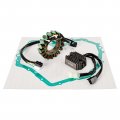 Topteng Magneto Stator Coil Regulator Rectifier For Arctic Cat Atv 400 Fis 4x4 Manual Transmission 2003-2008 Vp 2005-2006