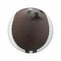 1080 Graphics Eggdog Meme Key Chain Double Sided Stainless Steel Keychain 