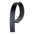 Serpentine Belt Standard Fan For Freightliner Columbia 2007 Olx-acd6k635-cl360a51 Black Replacement Part Dot Certified 