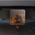 Boxer Puppy Dog Sleeping On Guitar Tow Trailer Hitch Cover Plug Insert
