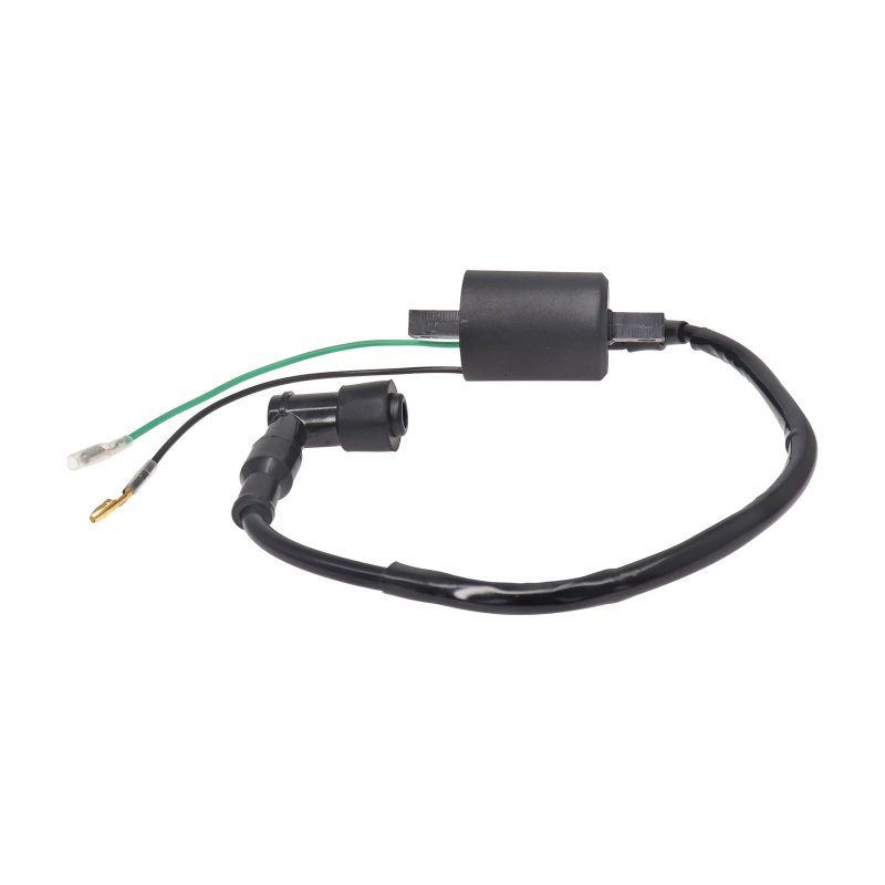 6 Volt Ignition Coil Fit For Honda S90 Cb100 Cl100 Cl90 Sl100 Sl125 S110 Xl100