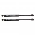 Boxi 2pcs Rear Hatch Trunk Liftgate Lift Supports Gas Struts Shocks Fit For Hyundai Elantra 2002-2006 Kia Spectra 2003-2004