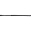 Hood Lift Support For Lincoln Navigator 2007 2017 Driver Or Passenger Side Single Piece Gas Charged Clx M0 Usa Repl131702 