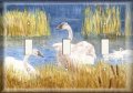 Snazzyswitch Wading Geese Decorative Light Switch Cover Triple Toggle Wall Plate 