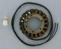 Ricks Motorsport Electric Stator 21-316 
