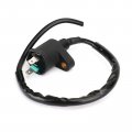 Topteng Motorcycle Ignition Coil Models Fits For Arctic Cat 350 2007-2013 Honda Crf50f 2004-2013 Crf70f 2004-2012 Trx250te