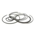 Alto Snap Ring Kit Complete 