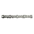 Hydraulic Roller Camshaft For Chevy Tahoe 5 3l 2007 2014 Gmc Envoy 2009 Sierra 1500 Buick Lacrosse Part Number 12625436 