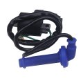 Goodbest New Ignition Coil Compatible With Honda Crf450 Crf450r 2002-2008 Crf450x 2005-2009 2012-2014 Replace 30500-meb-671
