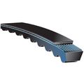 Tri-power Belt Molded Notch 