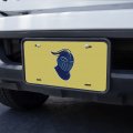Worcester State Lancers Secondary Novelty Metal Vanity Tag License Plate