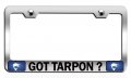 Got Tarpon Fishing Chrome Metal License Plate Frame Tag Holder F51 