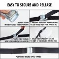 Cartman 1 X 12 Lashing Straps Cargo Tie-down Strap Up To 600lbs 12pk In Carry Bag Black