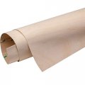 24 X 32 Pressure Sensitive Veneer Maple