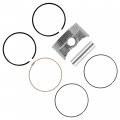 Caltric Piston And Ring Kit Compatible With Kawasaki Teryx Le 800 Krf800 2014-2023