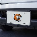 Graphics More Rochester Institute Of Technology Primary Logo Novelty Metal Vanity Tag License Plate