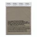 Pantone Smart Swatch 17-1108 Winter Twig 