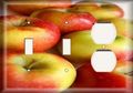 Two Switch One Duplex Receptacle Plate Mouthwatering Apples 