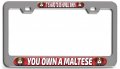 It Is Hard To Be Humble When You Own A Maltese Dogs Pets Ch 3d Metal License Plate Frame Auto Suv Truck Tag Holder R79 