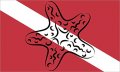 Stickertalk Starfish Diver Down Flag Vinyl Scuba Sticker 5 Inches By 3 