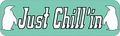 10in X 3in Just Chillin Penguin Vinyl Bumper Magnet Magnetic Car Magnets By Stickertalk 