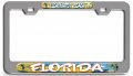 Clearwater Beach Florida Surfing Ch 3d Metal License Plate Frame Auto Suv Truck Tag Holder X21 