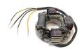 Ignition Stator Magneto Alternator Fits Sea-doo 1998 1999 2000 2001 Gs Gts Pwc By The Rop Shop 