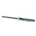 Polaris New Rivet 