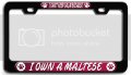 Maltese Dogs Pets 3d Metal License Plate Frame I Can T Keep Calm Because Own A Universal Fit For Auto Suv Truck Tag Holder 12 X 