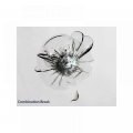 Glass Polish 21101 Windshield Repair Kit Chip And Crack Diy Removes Bulls-eyes Stars Flower Chips From Car Windshields