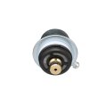 Fuel Pressure Regulator For Audi S4 2000 2001 2002 Cast Iron Silver 58 Psi Operating Replacement 078133534c