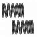 Caltric 2x Outer Valve Springs Compatible With Honda Atc250sx Atc250 Sx 1985 1986 1987