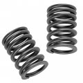 Caltric 2x Outer Valve Springs Compatible With Honda Atc250sx Atc250 Sx 1985 1986 1987