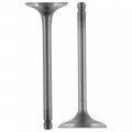 Caltric Intake And Exhaust Valve Compatible With Yamaha Kodiak 400 Yfm400 2wd 2003 2004