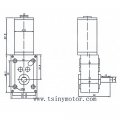 Bemonoc Dc Worm Gear Motor 12v Low Speed 16rpm High Torque 21kg Cm Reversed Mini Turbine Geared With Self-locking For Rotating