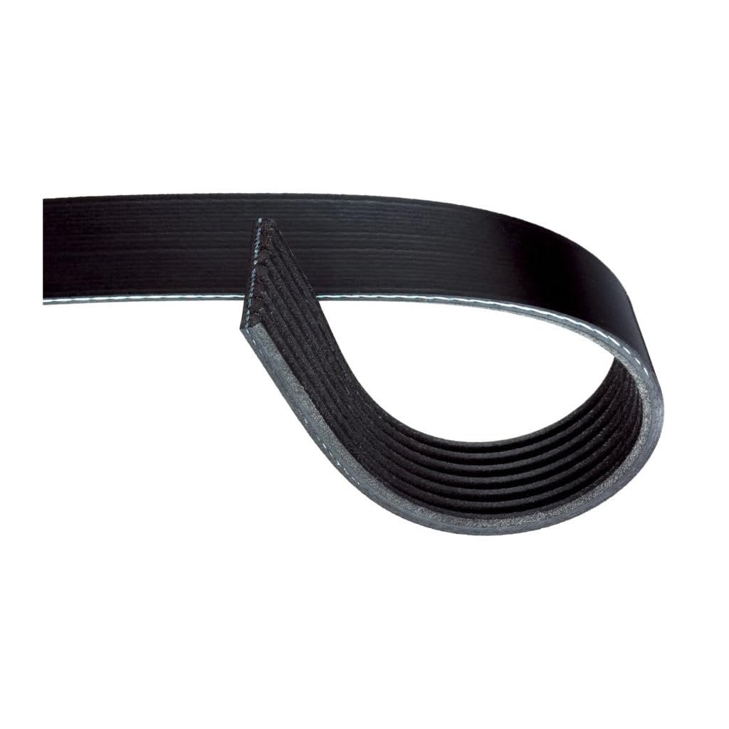 Serpentine Belt For Nissan Frontier 2019 V Ribbed 7 Rib 0 94 In Top Width Replacement 19252709 Black Standard Olx Acd7pk2217