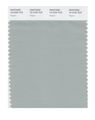 Pantone Smart 15-4704x Color Swatch Card Pigeon 