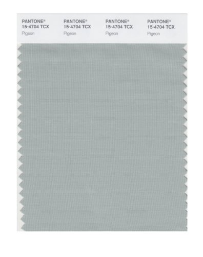 Pantone Smart 15-4704x Color Swatch Card Pigeon